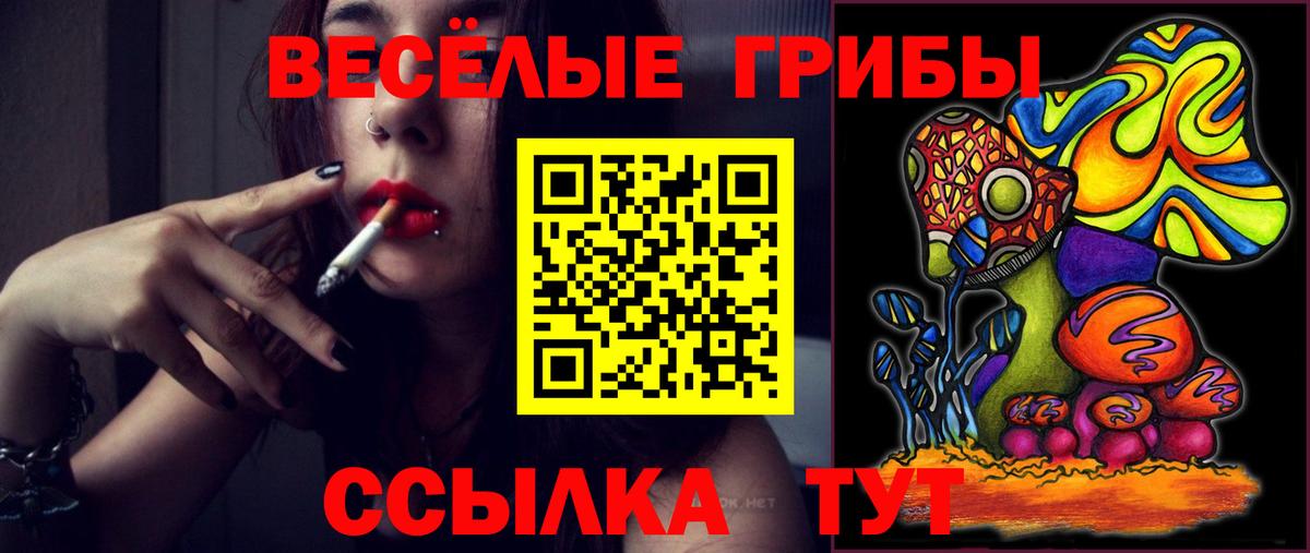 Псилоцибиновые грибы прущие грибы Калач-на-Дону